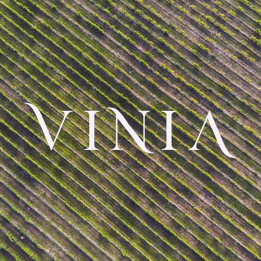 Villa La Vinia Bed&Wine Experience Sassari Exterior foto