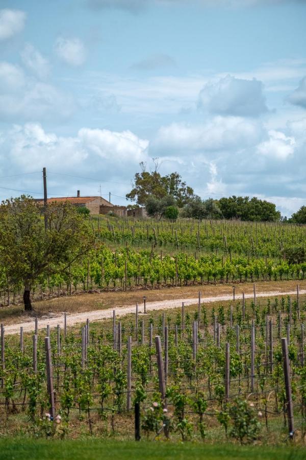 Villa La Vinia Bed&Wine Experience Sassari Exterior foto